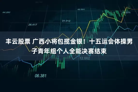丰云股票 广西小将包揽金银！十五运会体操男子青年组个人全能决赛结束