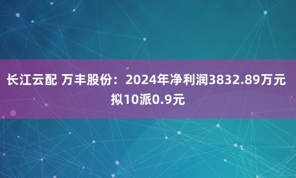 长江云配 万丰股份：2024年净利润3832.89万元 拟10派0.9元