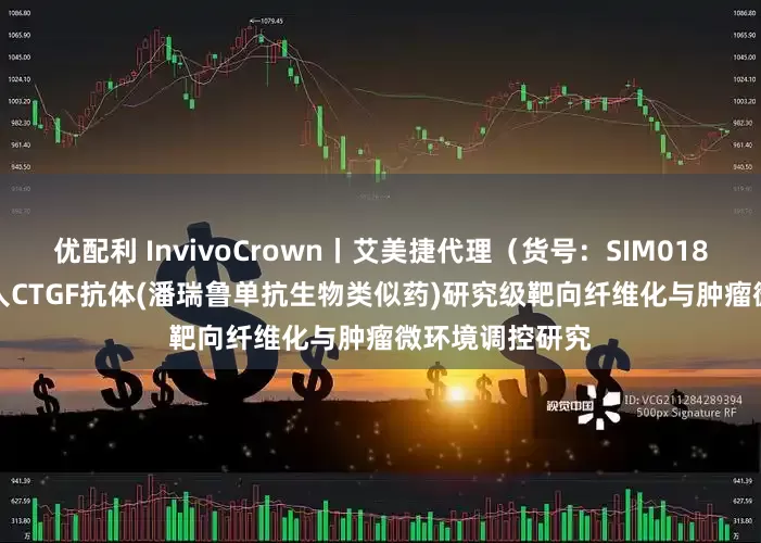 优配利 InvivoCrown丨艾美捷代理（货号：SIM0189）BioSIM抗人CTGF抗体(潘瑞鲁单抗生物类似药)研究级靶向纤维化与肿瘤微环境调控研究